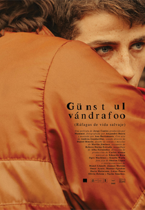 Explosões da Vida Selvagem (Ráfagas de vida salvaje)