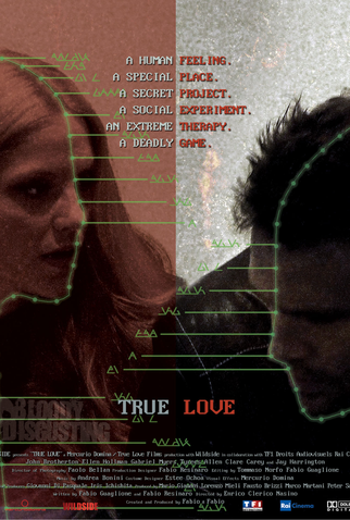 Poster 2 de Filme Amor de verdade (2012)