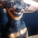 Foto de perfil de Cax