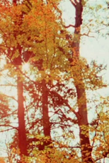 Spirits in Season (Spirits in Season)