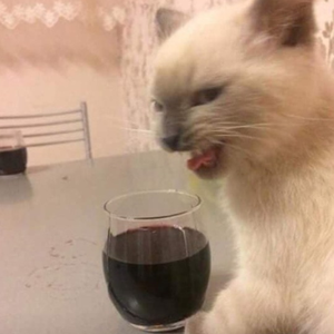 Foto de perfil de debrnss
