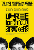 Três Estranhos Idênticos (Three Identical Strangers)