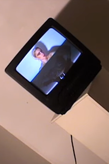 Poster de Curta Sally Dige: Immaculate Deception (2011)