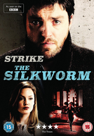 C. B. Strike: O Bicho-da-Seda (Strike: The Silkworm)