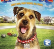 Robô-Dog