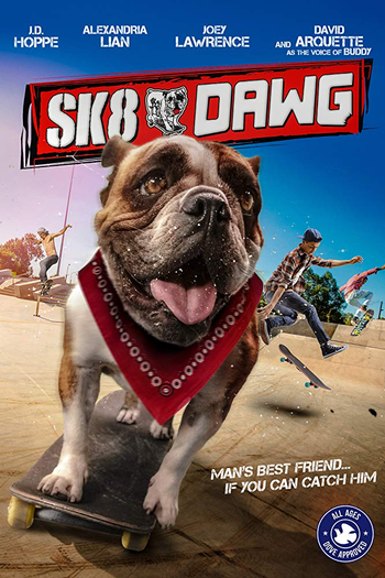 Poster de Filme O Radicão (2018)