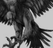 Thunderbird