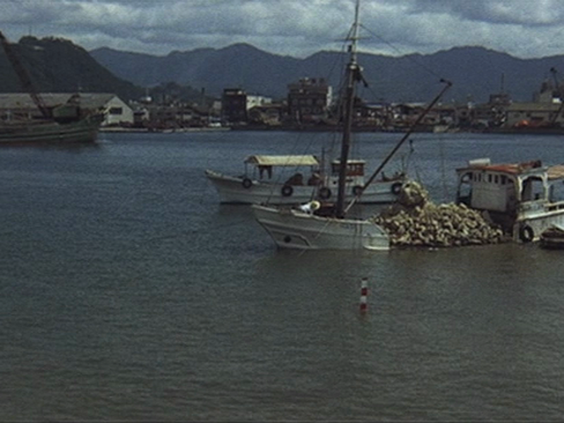 Foto 7 de Terra Natal