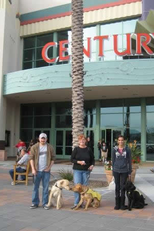 Os doces de meu cachorro sentado (Dog's Candy )