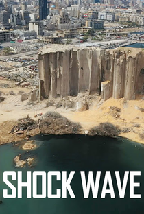 Shock Wave - Poster / Capa / Cartaz - Oficial 1
