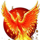 Foto de perfil de Agrinaldo
