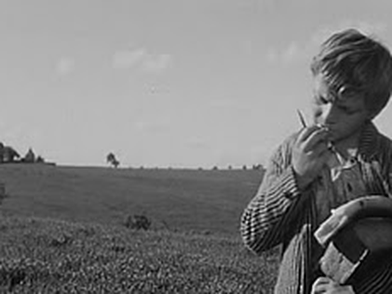 Foto 9 de Viva a República