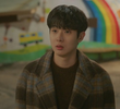 비긴 어게인