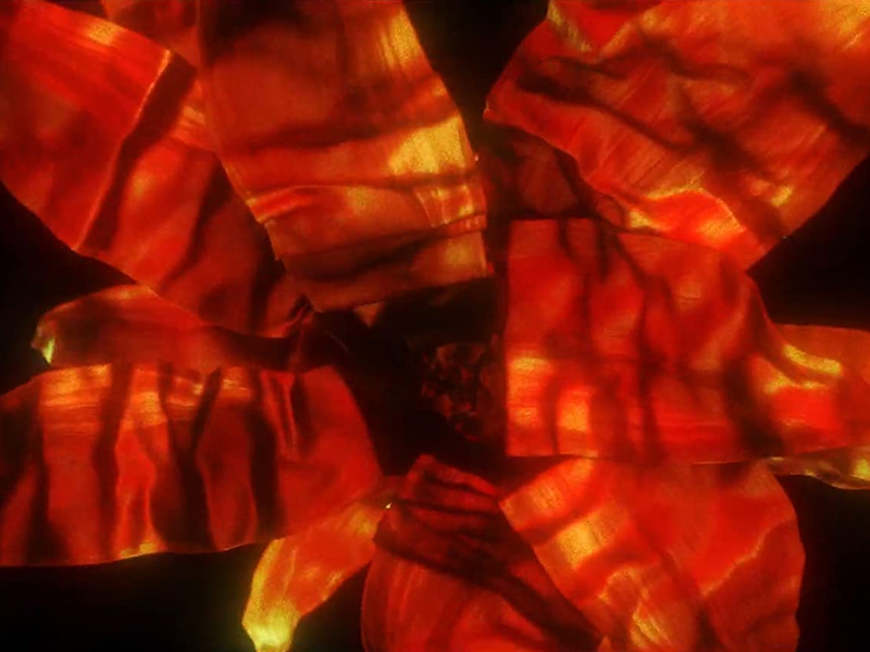 Foto 1 de After Hours