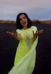 Björk: Stonemilker (Björk: Stonemilker)