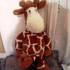 Foto de perfil de Hailey Kaas