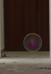 O Inquilino (O Inquilino)