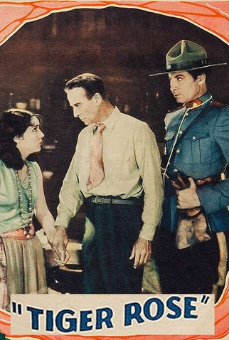 Poster 1 de Filme Mulher de Vontade (1929)