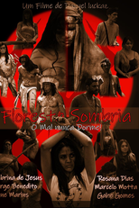 Floresta sombria (Floresta Sombria o mal nunca dorme)