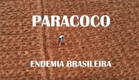 Documentário: Paracoco – Endemia Brasileira