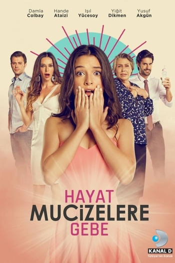 Poster de Série Grávida por Acidente (2015)