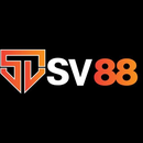 Foto de perfil de SV88