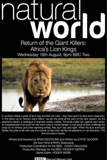 BBC Natural World - Return of the Giant Killers: Africa's Lion Kings - Poster / Capa / Cartaz - Oficial 1