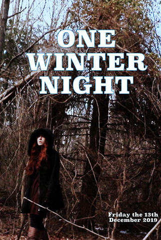 Poster 2 de Filme One Winter Night (2019)