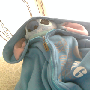 Foto de perfil de Felipe