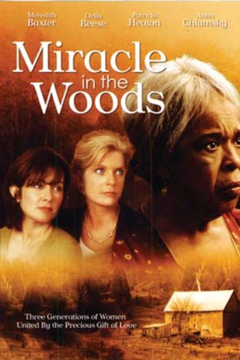  de Filme Milagre na Cabana (None)