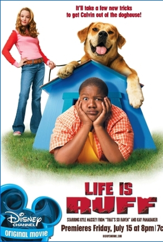 Poster 1 de Filme Cãofusões (2005)