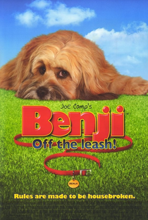 Benji: Um Amigo Especial - Poster / Capa / Cartaz - Oficial 3