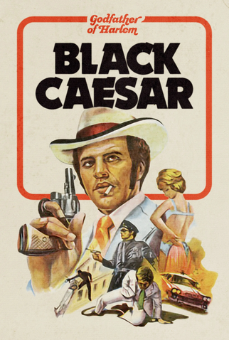 Poster 5 de Filme O Chefão de Nova York (1973)