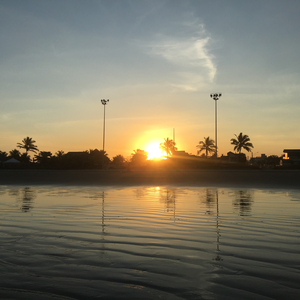 Foto de perfil de Andressa