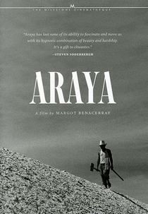 Araya (Araya)