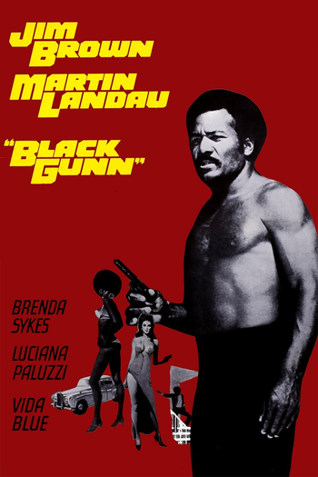  de Filme O Justiceiro Negro (1972)