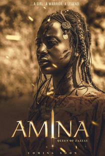 Amina - Poster / Capa / Cartaz - Oficial 3
