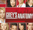 A Anatomia de Grey (4ª Temporada)