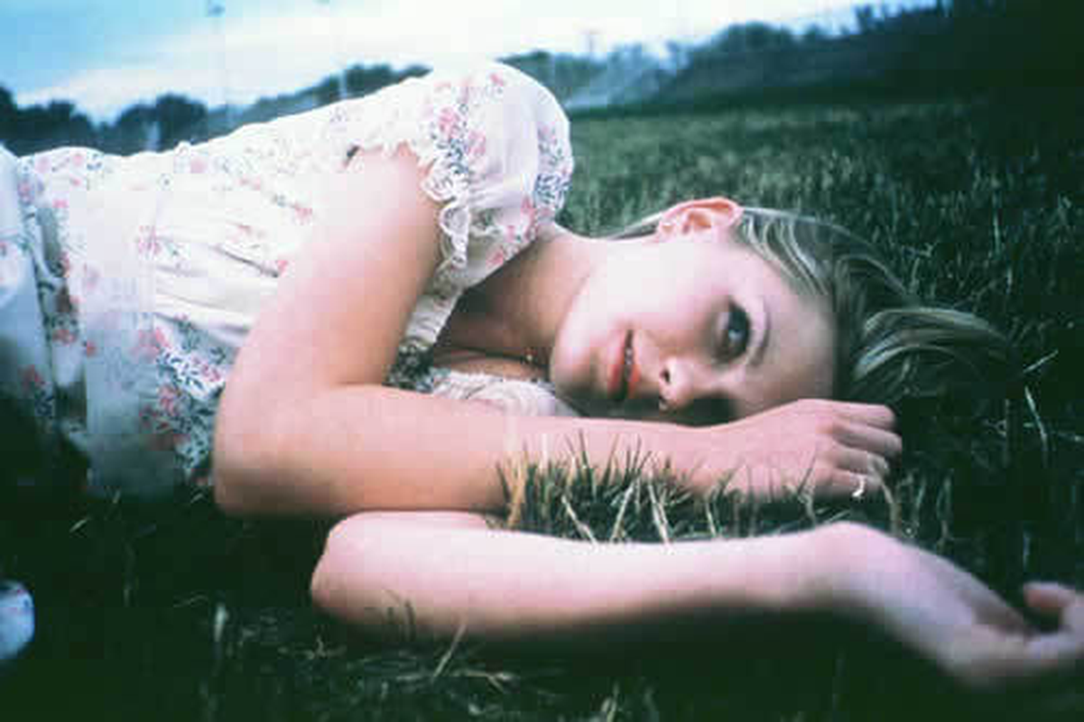 Iara - Foto 6