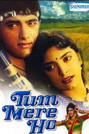 Poster de Filme Tum Mere Ho (1990)