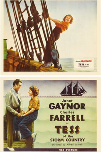 Poster de Filme A Borrasca (1932)