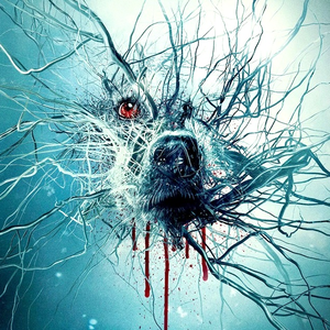 Foto de perfil de Alex Oak