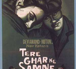 Tere Ghar Ke Samne