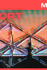 Mad Ladders (Mad Ladders)