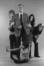 The Smith Family  (The Smith Family )