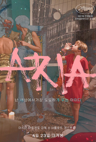 Poster 11 de Filme Incompreendida (2014)