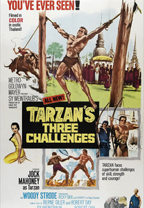 Os Três Desafios De Tarzan (Tarzan's three challenges)