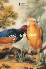 Meine Frau weint (Meine Frau weint)