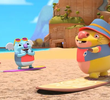 Sandy's Surf School