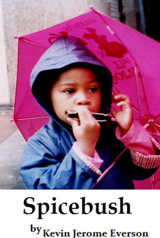 Poster 1 de Filme Spicebush (2005)